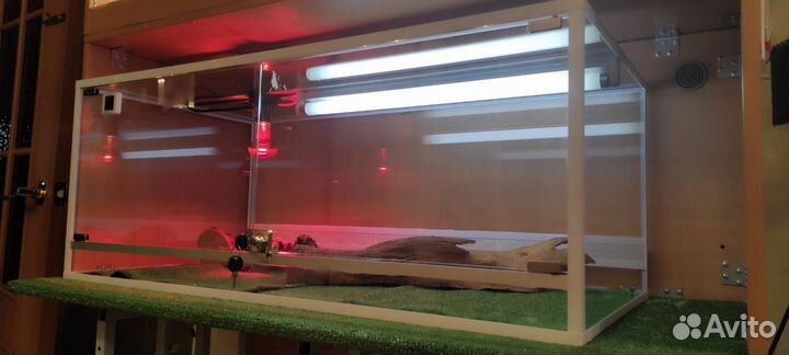 Террариум для рептилий бу