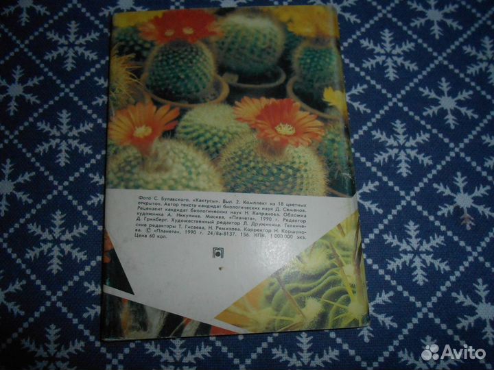 Набор открыток Кактусы (выпуск 2 1990 г)