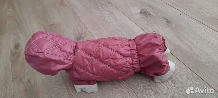 Одежда, шлейка, лоток для собак мелких пород