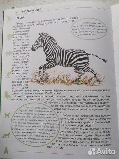 Детская энциклопедия