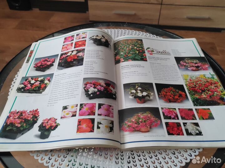 Фотокаталог цветов (Голландия)