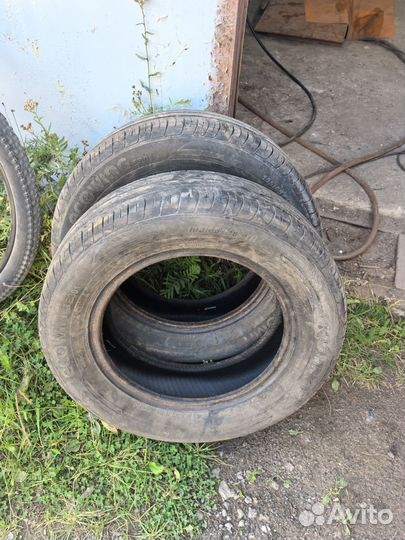 Ecovision ST Radial 195/65 R15