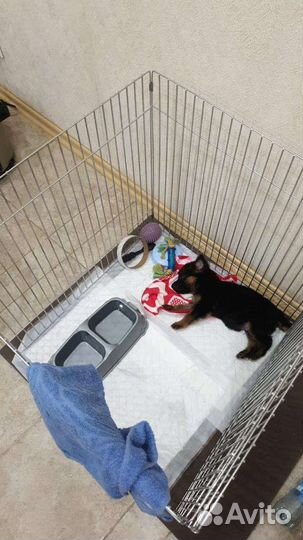 Вольер для собак