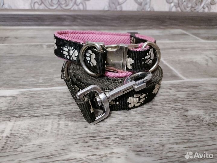 Ошейник + поводок