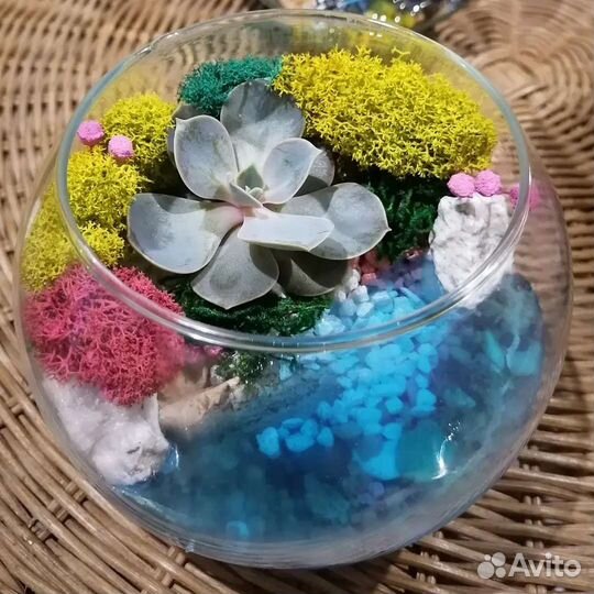 Флорариум шар, подарок