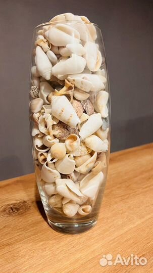 Вазы с ракушками