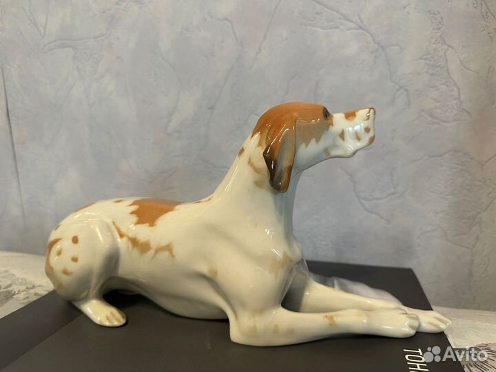 Пойнтер лфз