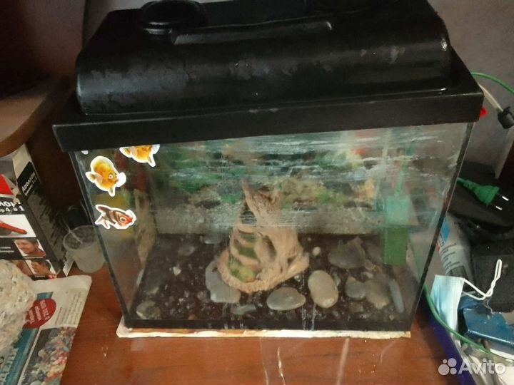 Аквариум