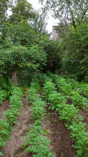 Дача 20 м² на участке 6 сот.