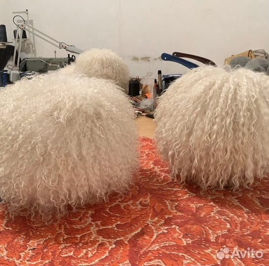 Папаха Хабиба, Папахи