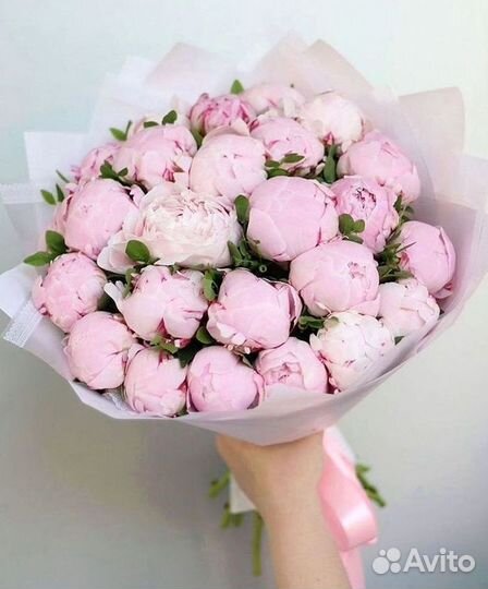 Пионы Букет пионов