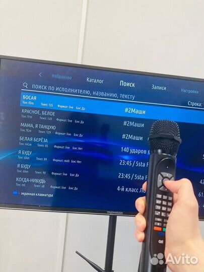 Караоке системы профессиональные