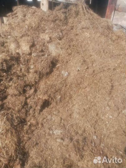 Навоз перегной