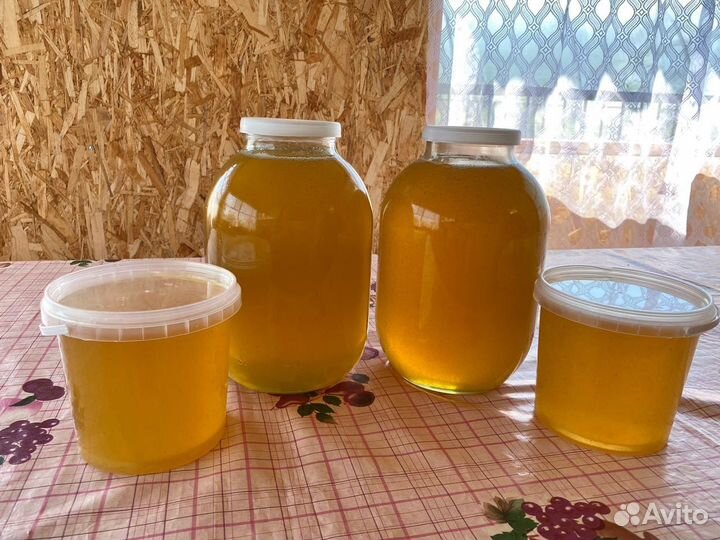 Мед натуральный, свежий, сбор 2023