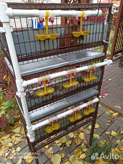 Клетки для перепелов