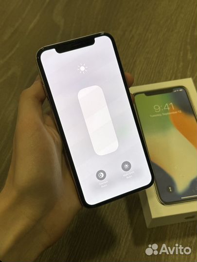 iPhone X, 256 ГБ
