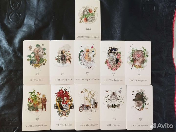 Anatomical Tarot Cards