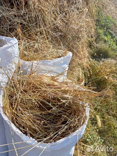Сено в мешках