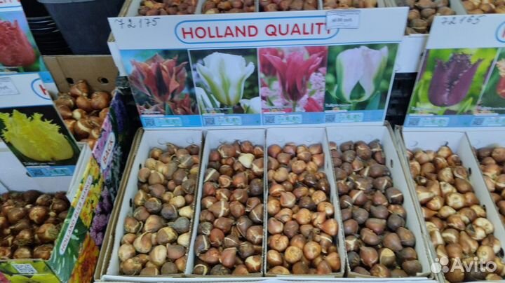 Добро пожаловать В Садовый Центр