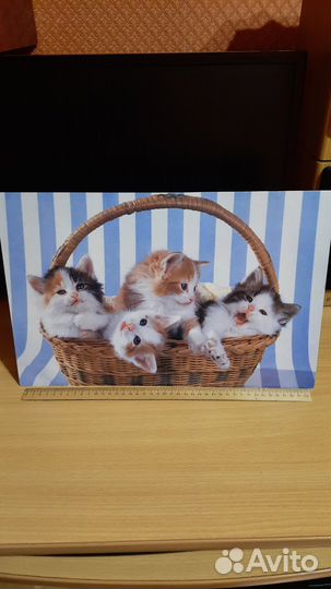 Рамка для фото, картина + открытка котята