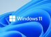 Ключ лицензии Windows 10 Pro, Windows 11 Pro купить в Казани с ...