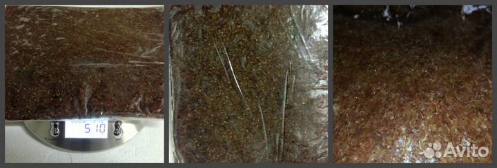 Корма с/м для морских и пресноводных рыб