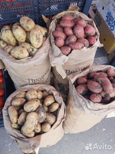 Овощи доставка до дома