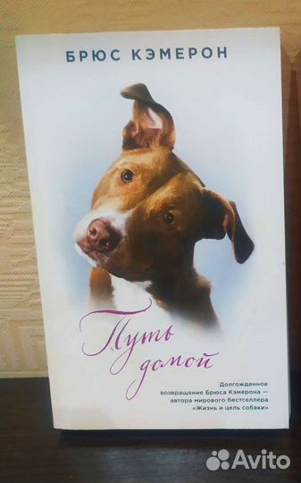 Книга - Путь домой