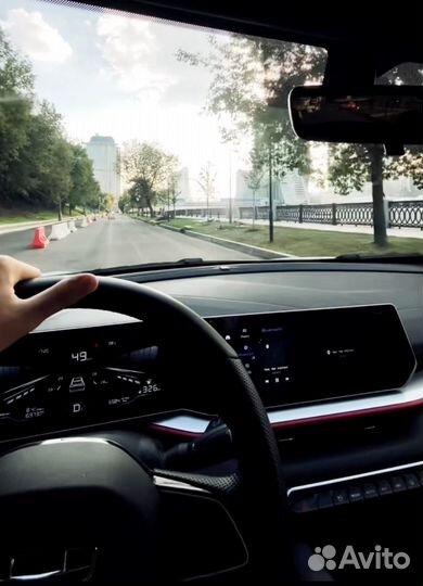 Трезвый водитель