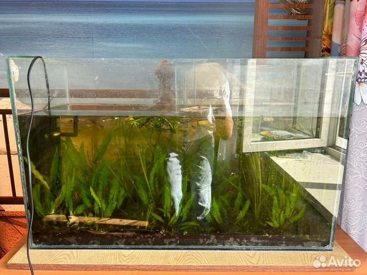 Аквариум