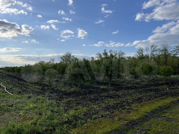 Участок 24 га (СНТ, ДНП)