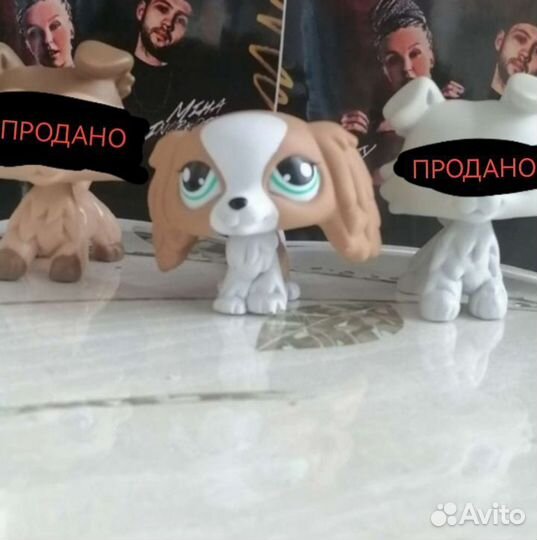 Lps спаниель 3D