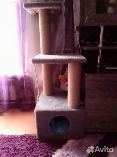 Домик для кошки новый