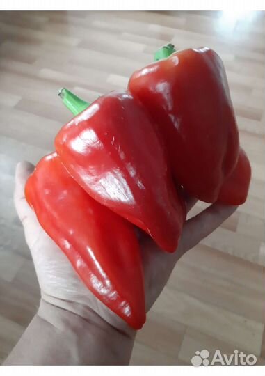 Семена Перцев