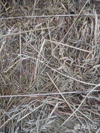 Сено, солома в тюках