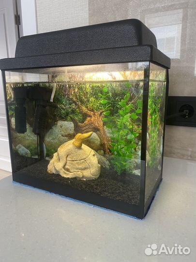 Аквариум