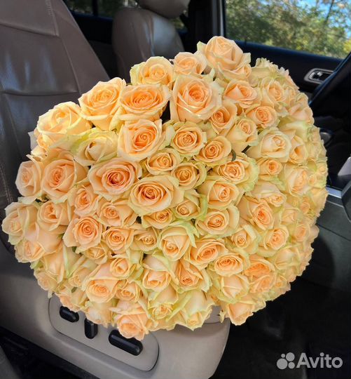 Розы Голландия 60 см., бесплатная доставка