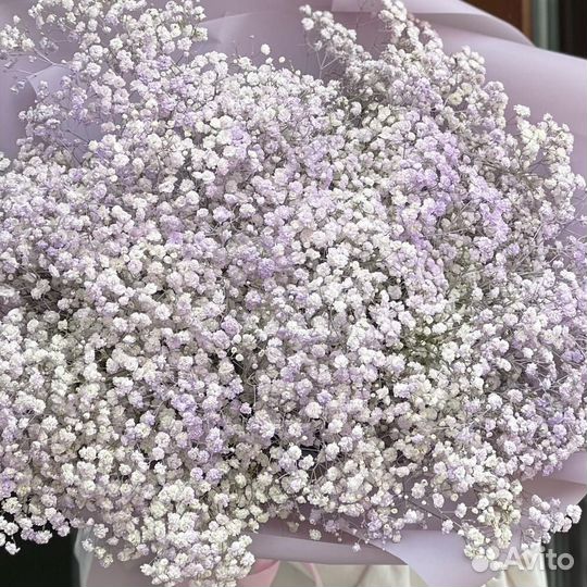 Букет из 15 нежно-фиолетовых гипсофил