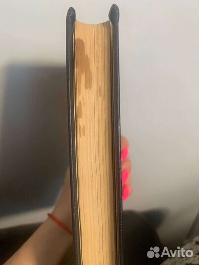 Книга Физиология Петербурга