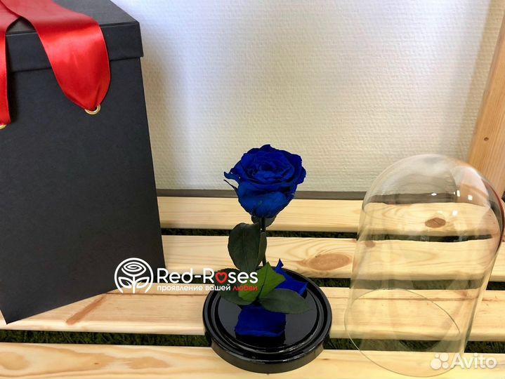 Вечная роза 23 см