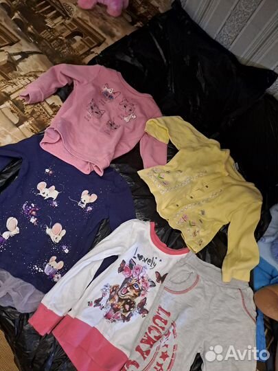 Отдам бесплатно