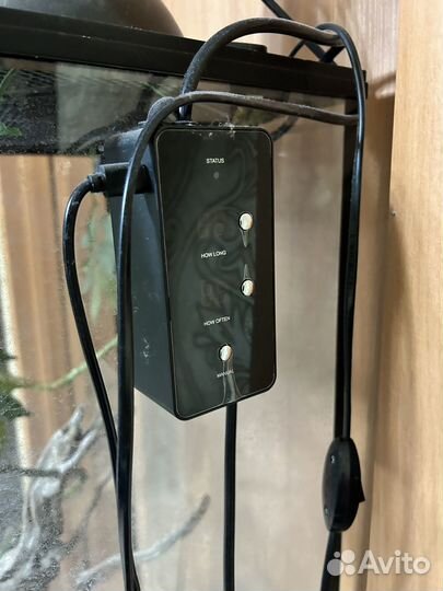 Террариум для хамелеона