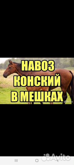 Конский перегной