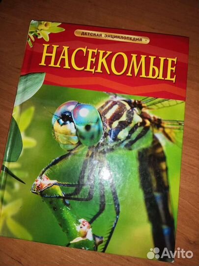 Книга про насекомых