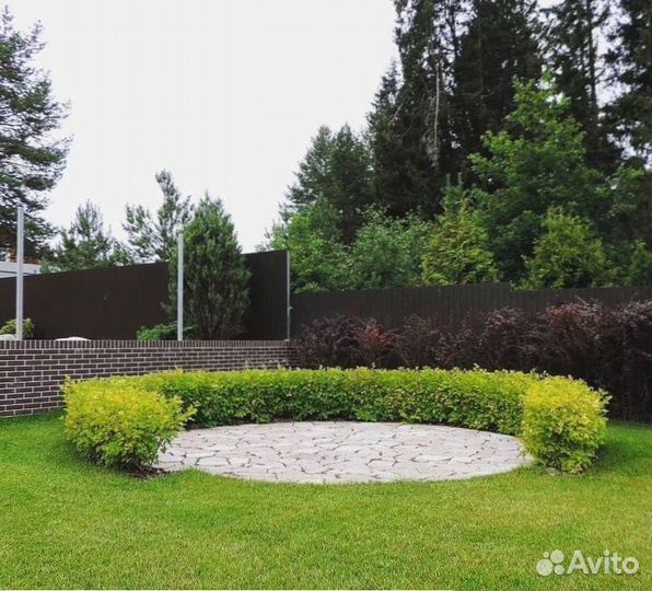 Рулонный газон из собственного питомника