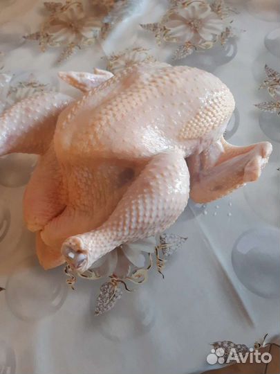 Мясо.Гуси, утки, индейка, бройлер