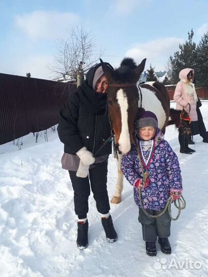 Обучение верховой езде