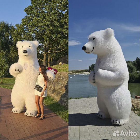 Аниматор Мишка. Поздравление Белого Медведя