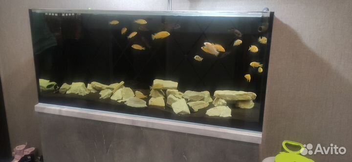 Аквариум с тумбой
