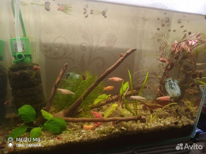 Аквариум 15 литров